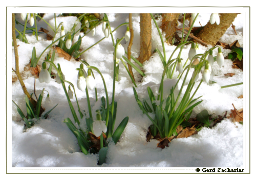 Winter09