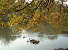2001_1104_151637