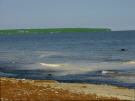 2010_1106_115050