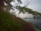2010_1106_115100
