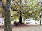 2010_1106_154857