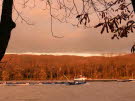 2010_1106_160828