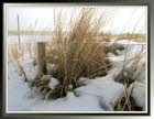 Winter26