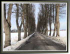 Winter27