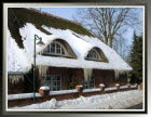 Winter29